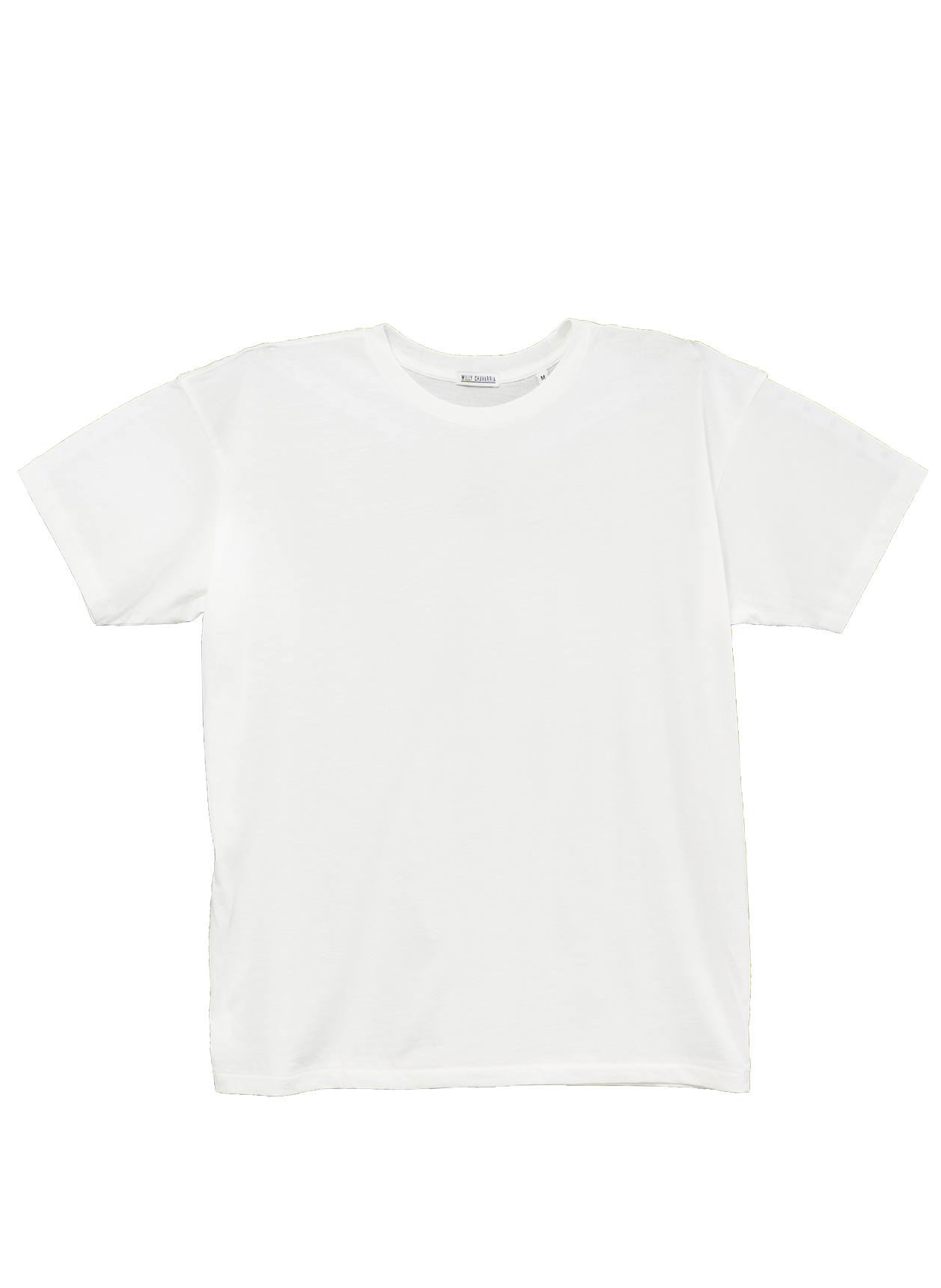 DIRTY WILLY T
