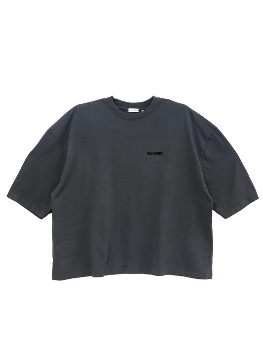 SS BUFFALO T