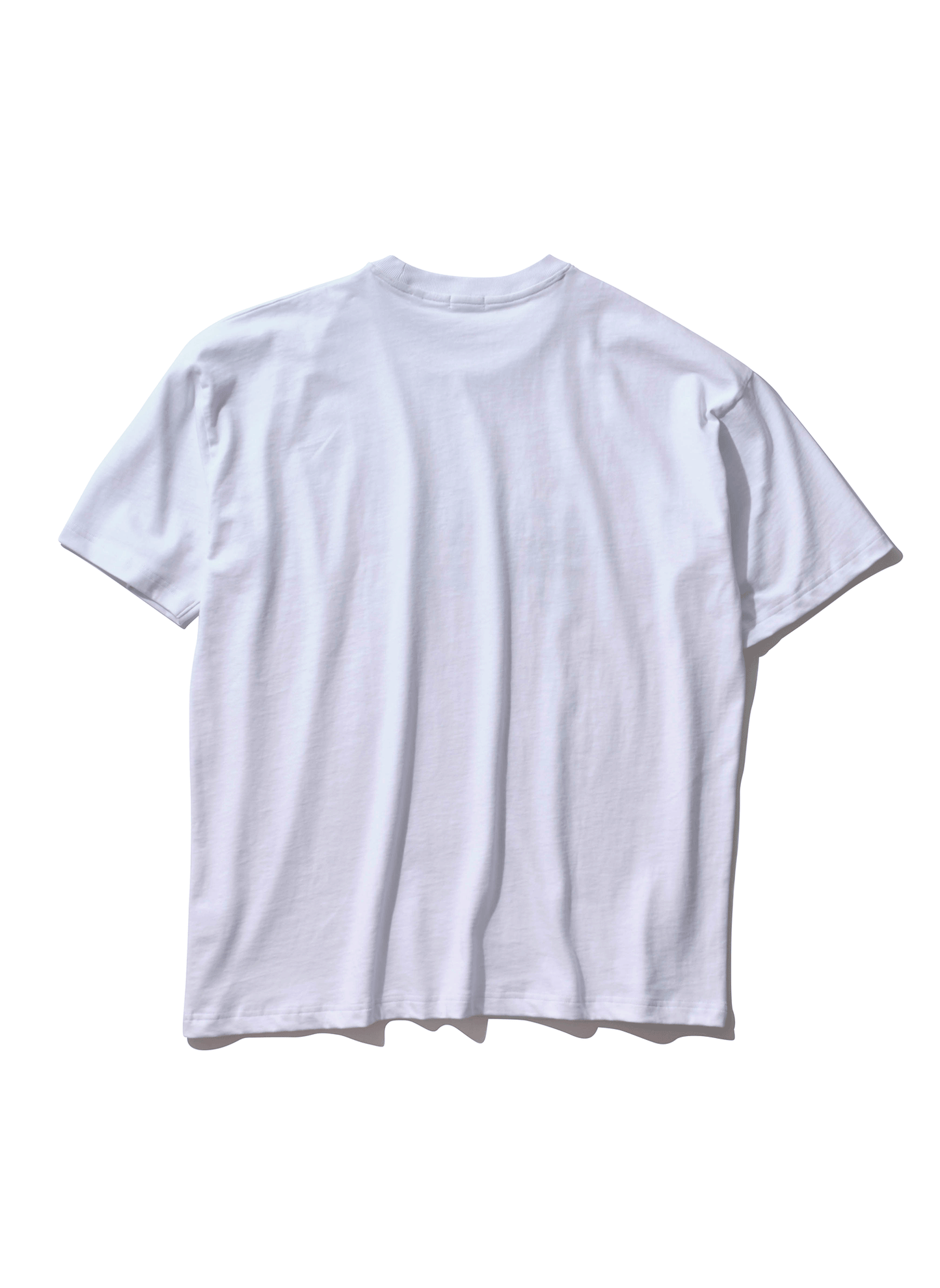 WILLY GRADIENT LOGO T